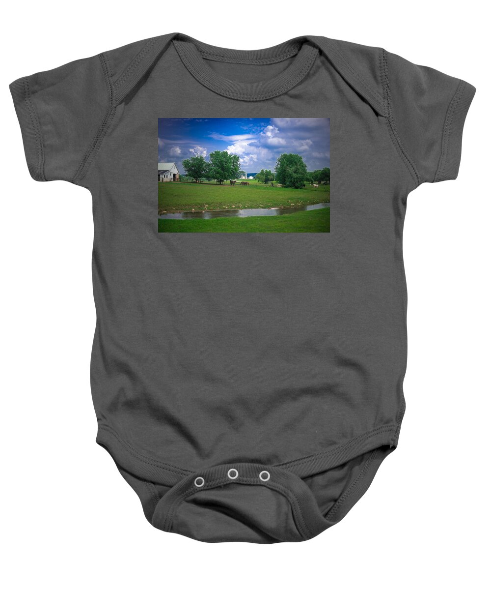 Farm Baby Onesie featuring the photograph Out to Pasture by Joseph Desiderio