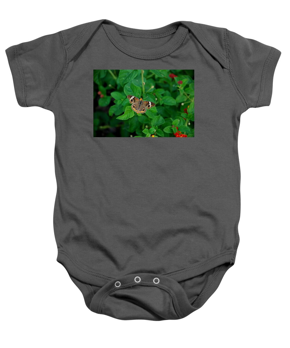 Butterfly Baby Onesie featuring the photograph Owl Butterfly2 by Francie Davis