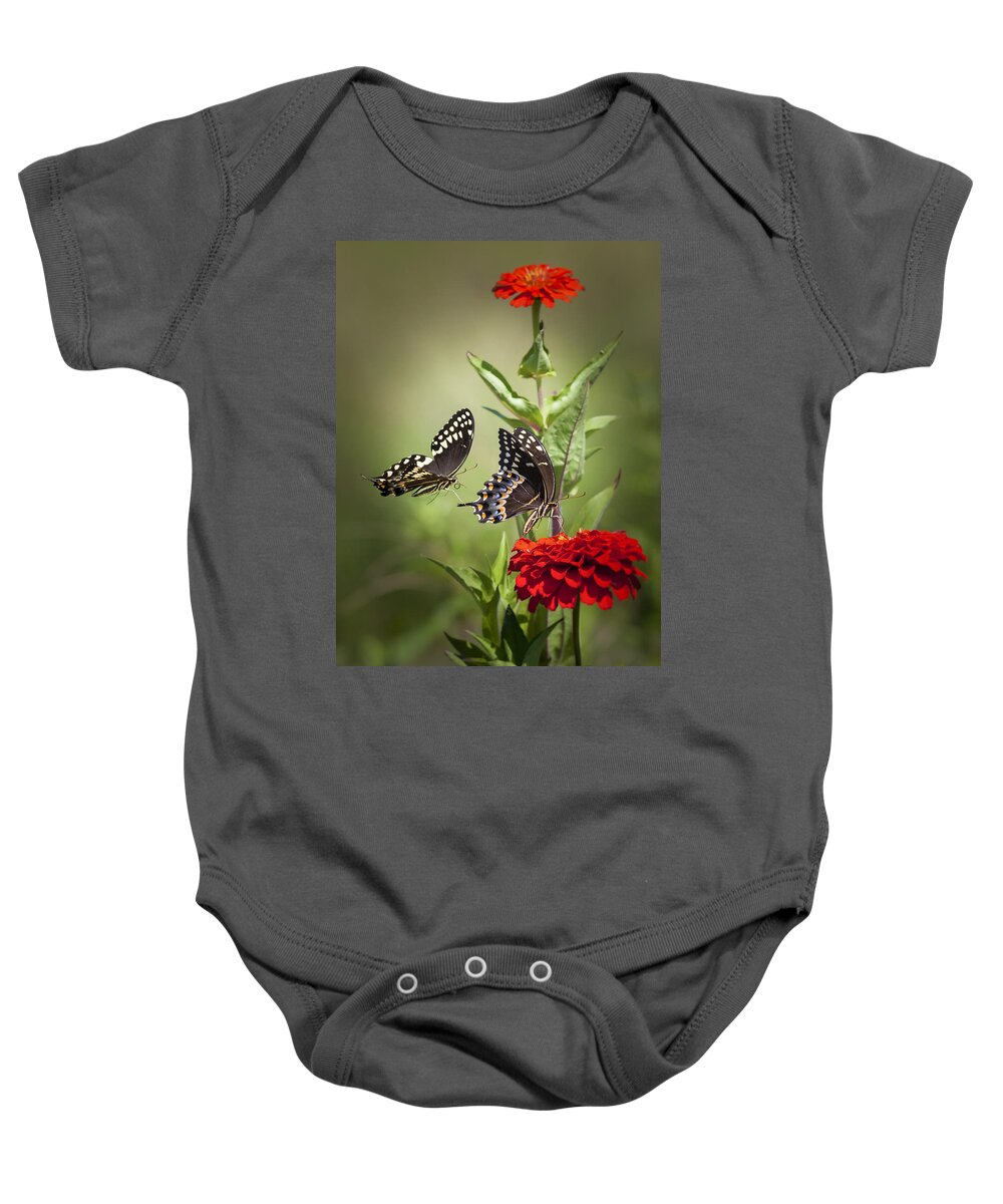 Butterflies Baby Onesie featuring the photograph Palamedes Swallowtail Butterflies by Jo Ann Tomaselli