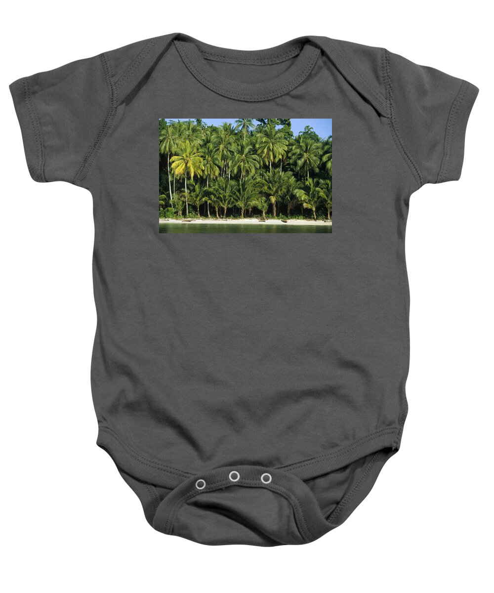 Feb0514 Baby Onesie featuring the photograph Palm Trees Along White Sand Beach Irian by Konrad Wothe