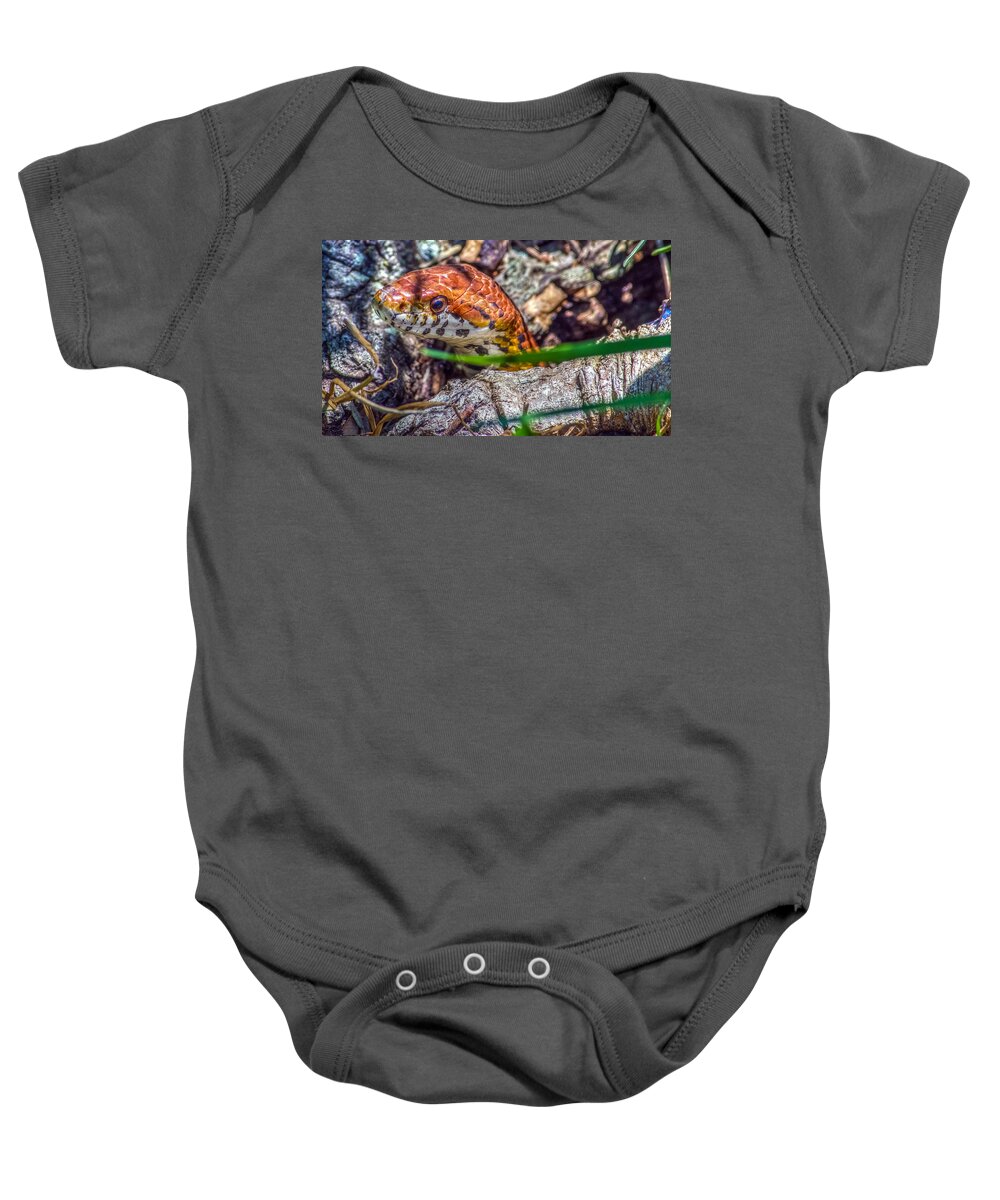 Animal Baby Onesie featuring the photograph Pantherophis guttatus by Traveler's Pics