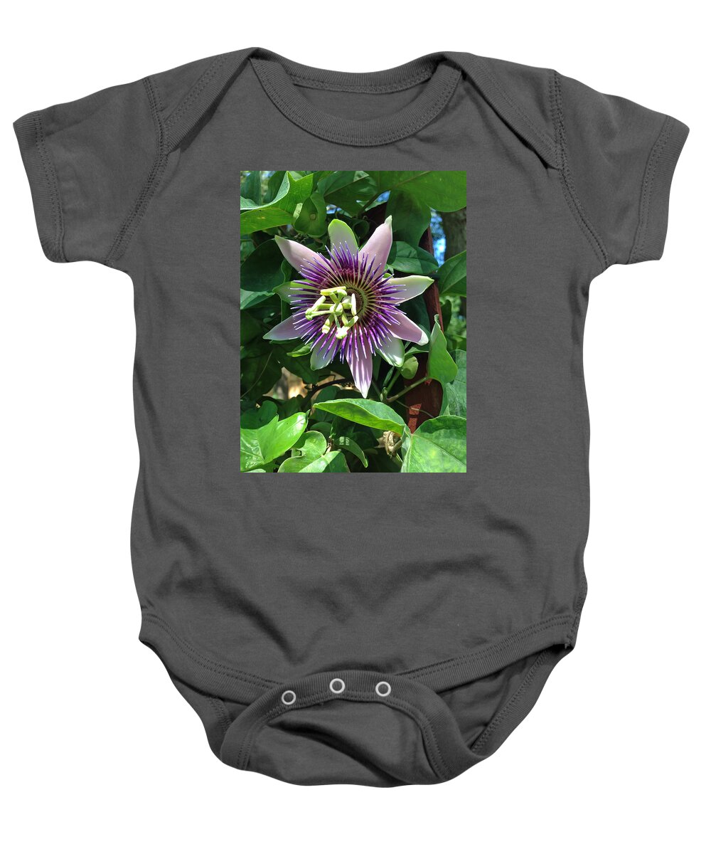 Passion Flower Baby Onesie featuring the photograph Passion Flower 4 by Aimee L Maher ALM GALLERY