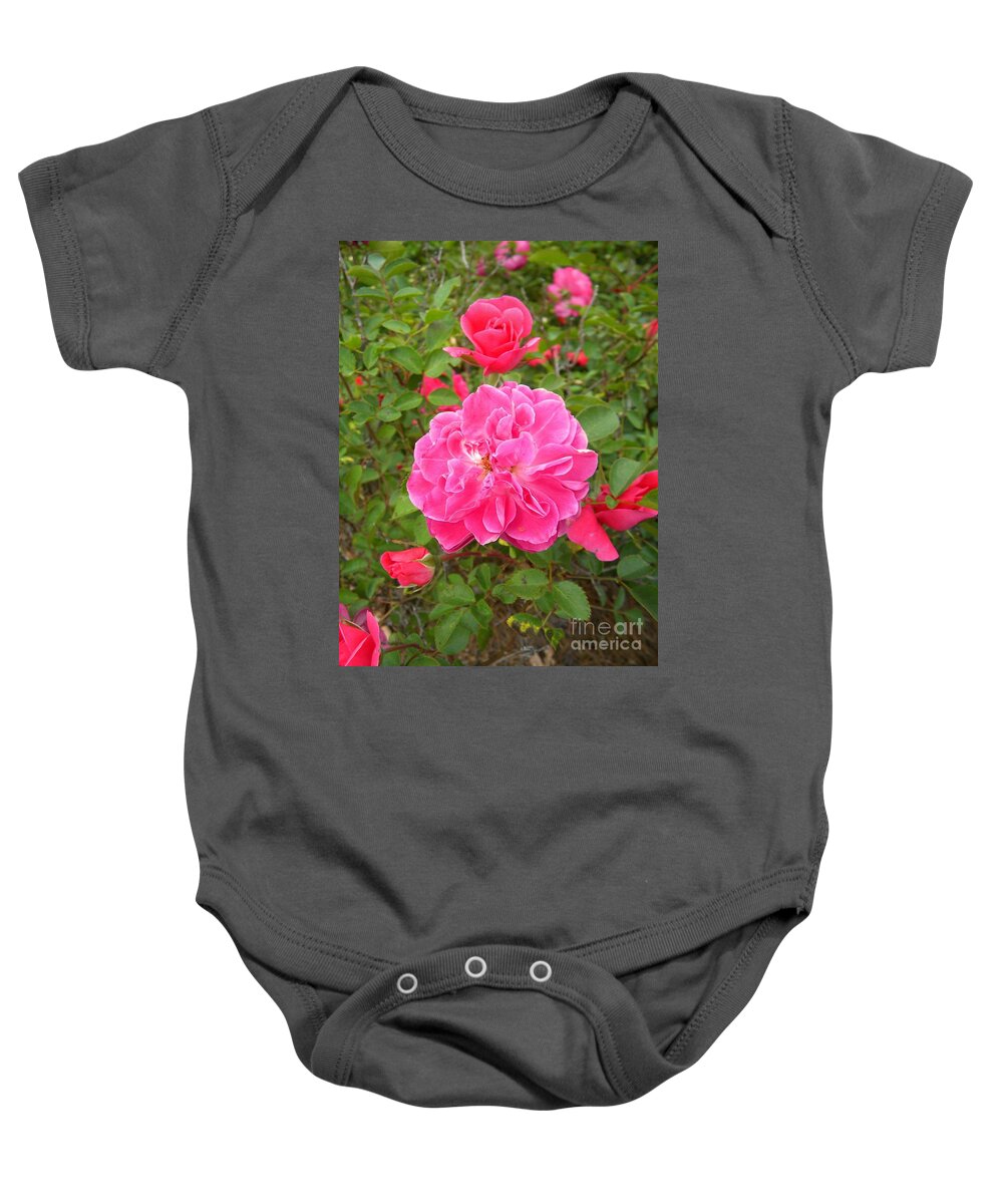 Roses Baby Onesie featuring the photograph Passionate Pink Springtime by Matthew Seufer