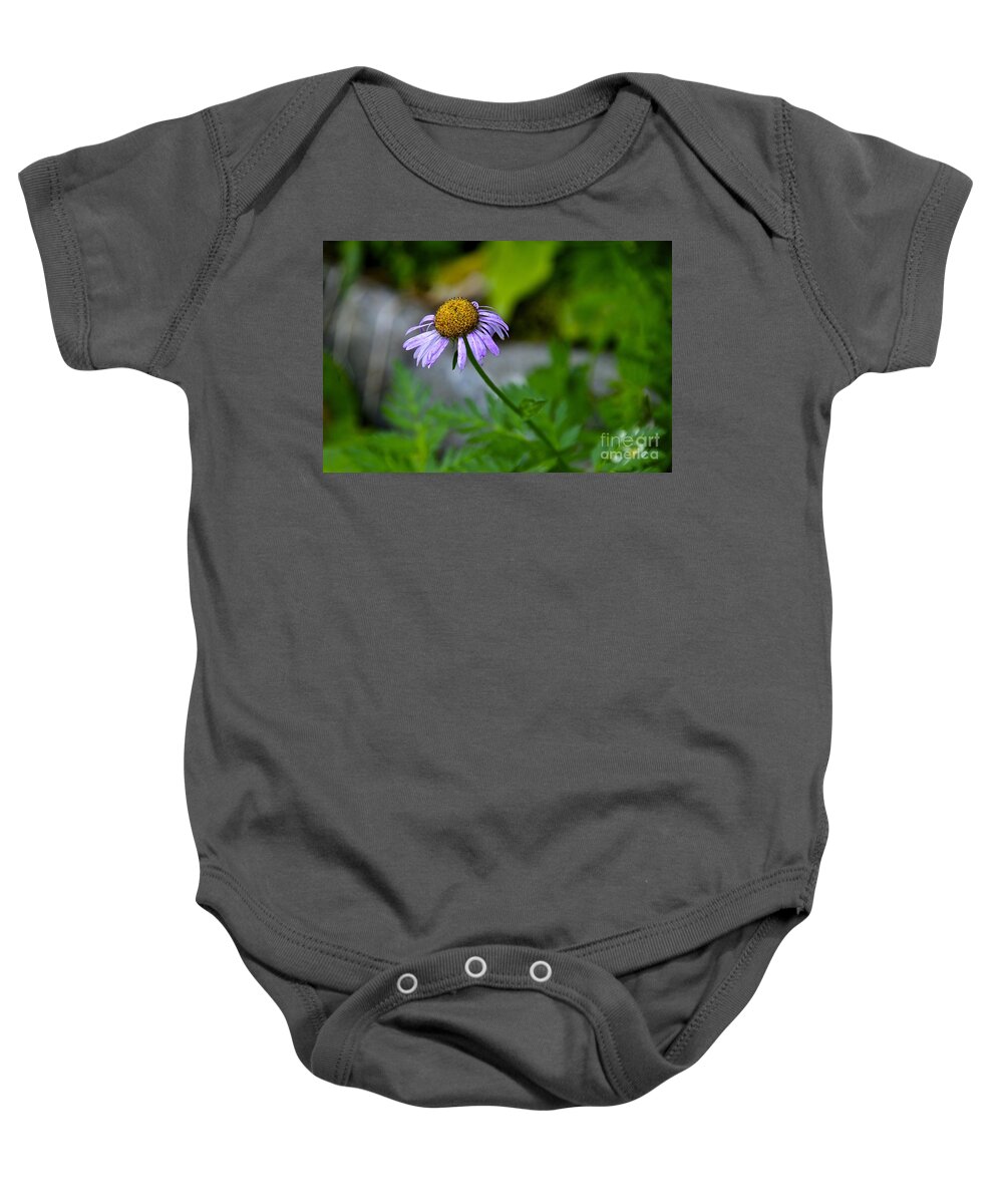 Photography Baby Onesie featuring the photograph Past Prime by Sean Griffin