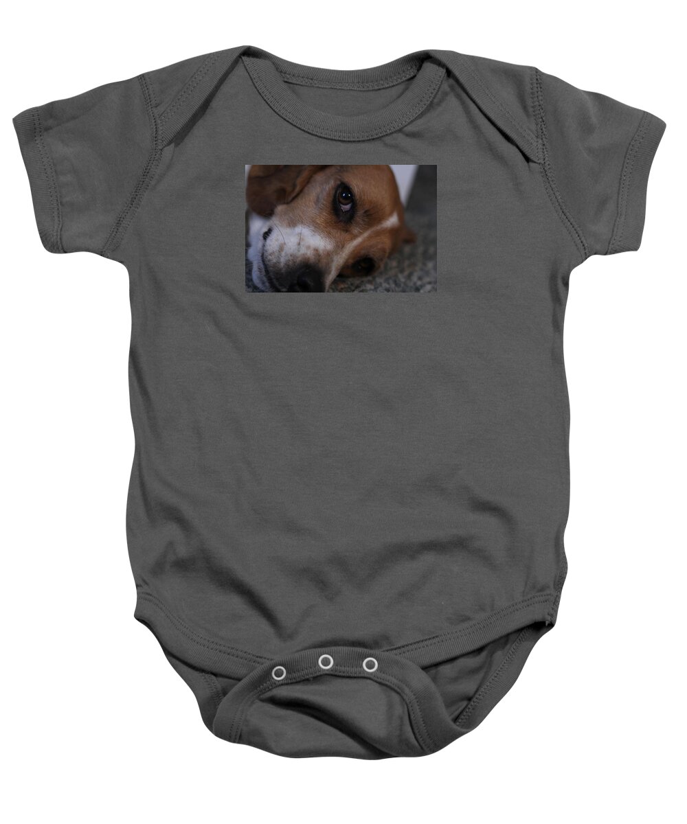 Beagle Baby Onesie featuring the photograph Penny the Beagle Dog by Valerie Collins