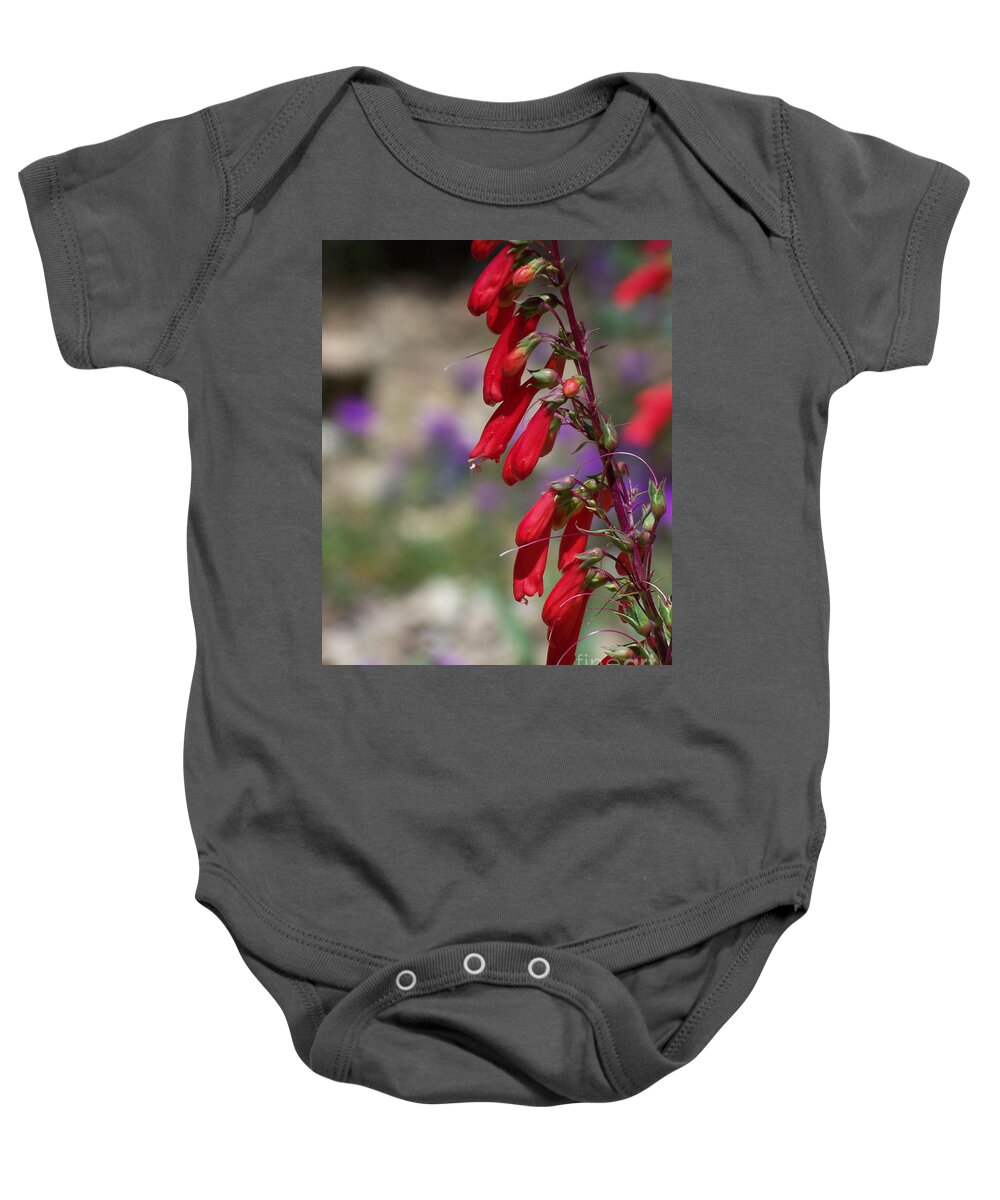 Flowers Baby Onesie featuring the photograph Penstemon by Kathy McClure