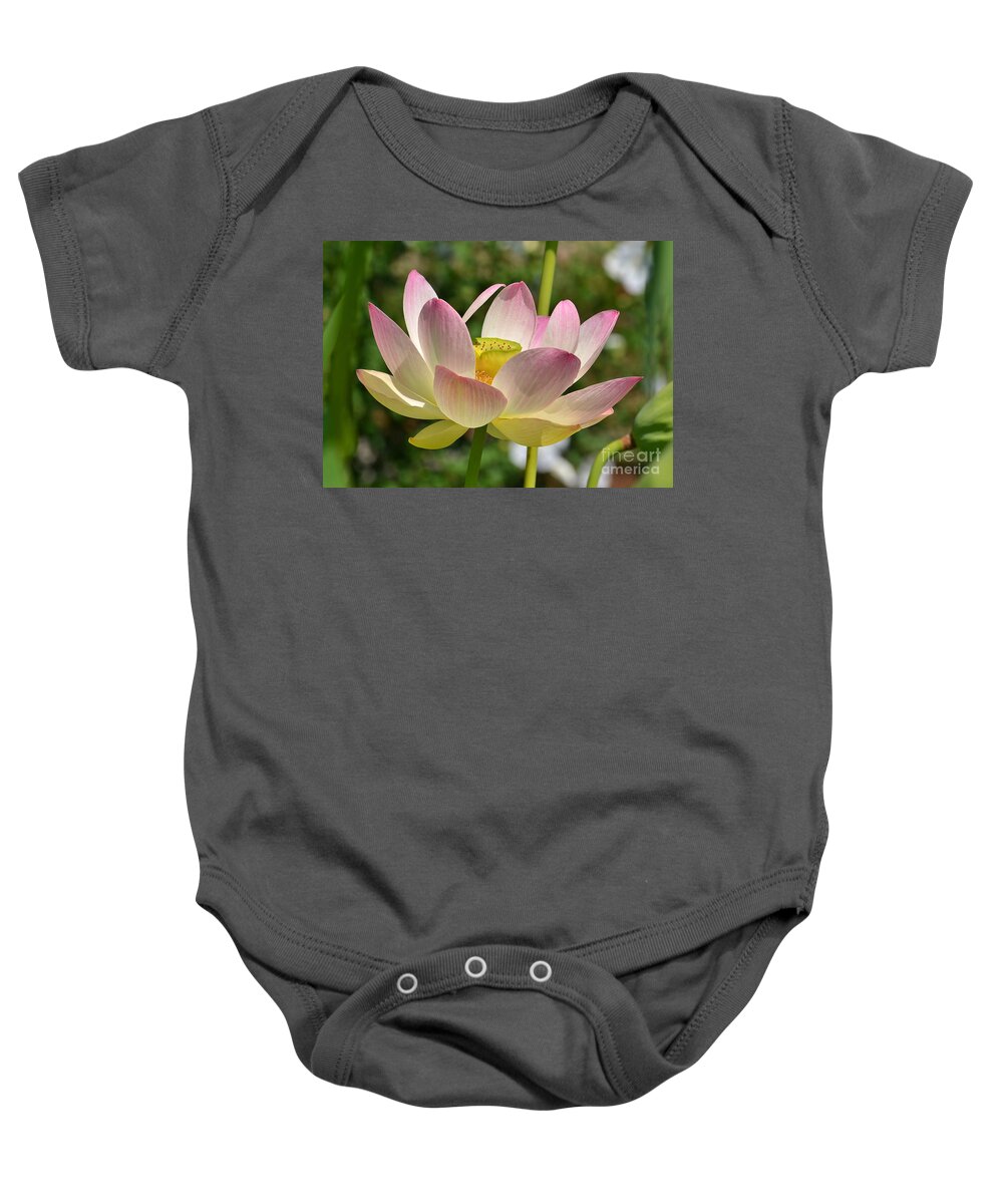 Lotus Baby Onesie featuring the photograph Perfection by Kathy Baccari