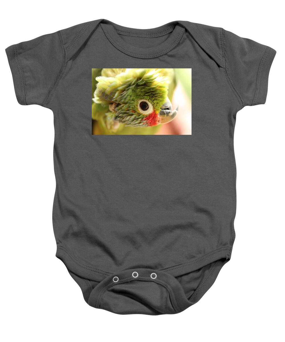 Parakeet Baby Onesie featuring the photograph Perspective by Erin Thomsen