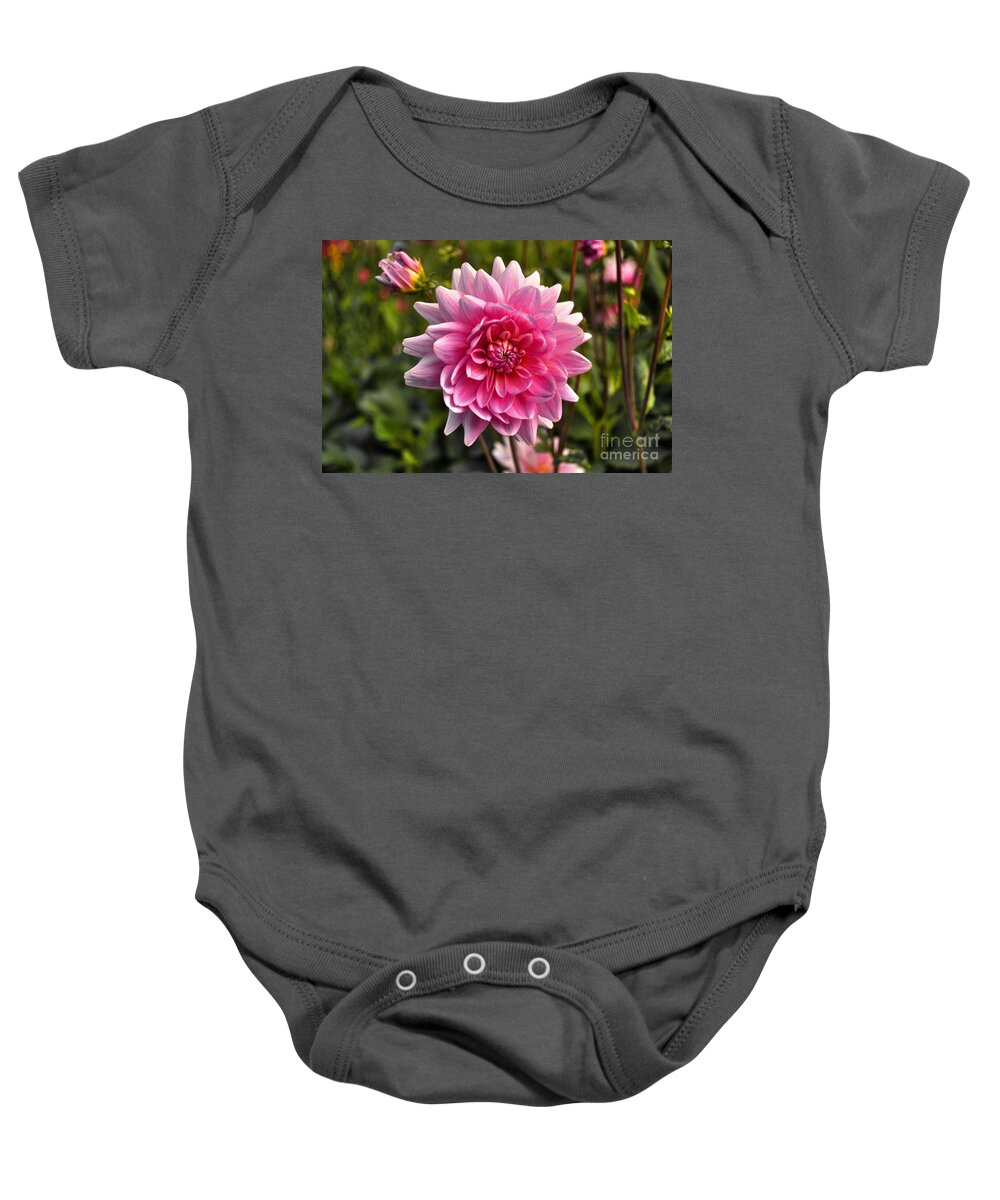 Pink Baby Onesie featuring the photograph Pink Dahlia by Rob Hawkins