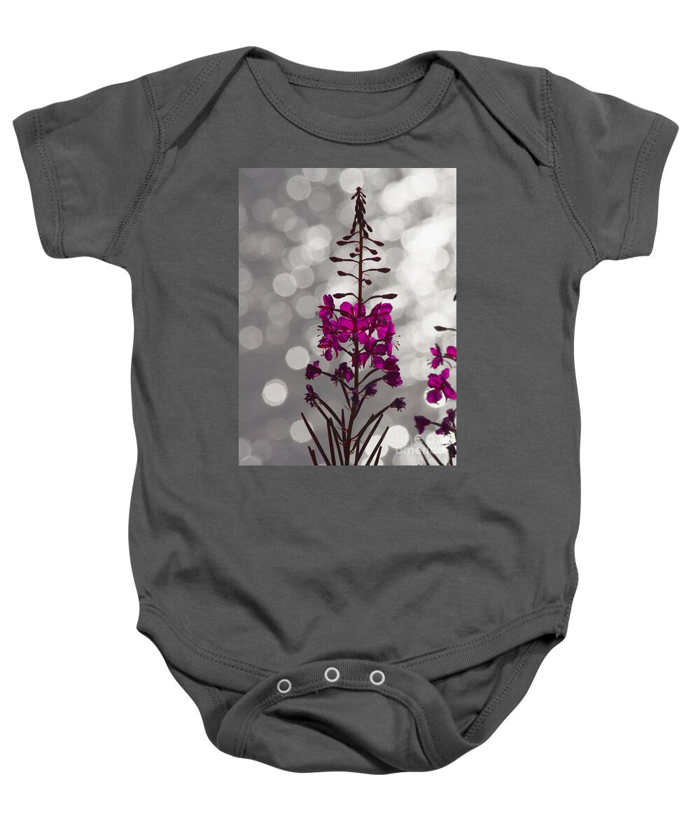 Fireweed Baby Onesie featuring the photograph Pink by Heiko Koehrer-Wagner