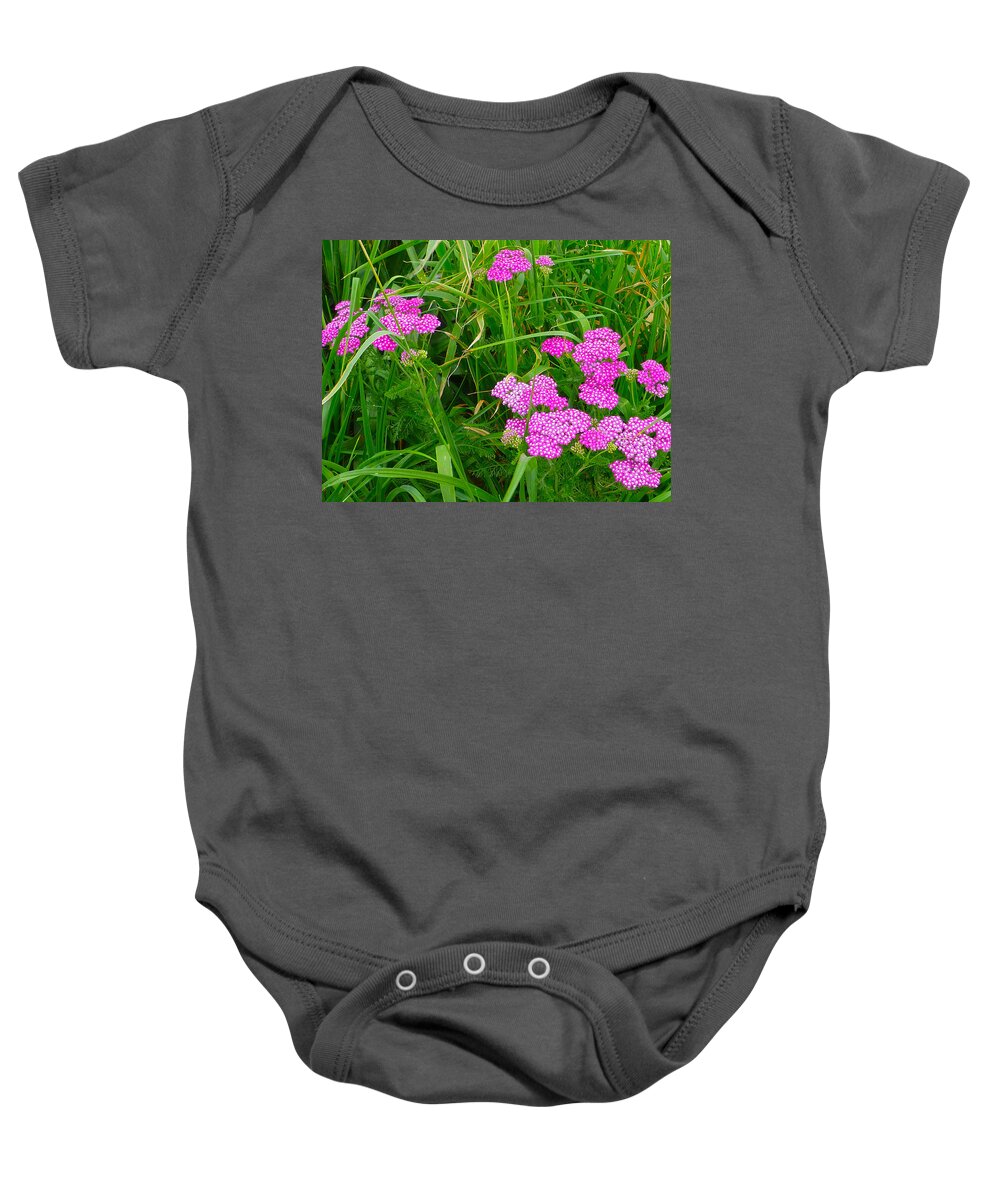 Flowers Baby Onesie featuring the photograph Pink yarrow by Ellen Paull