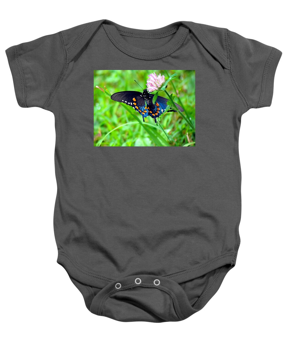 Carol R Montoya Baby Onesie featuring the photograph Pipevine Swallowtail Hanging On by Carol Montoya