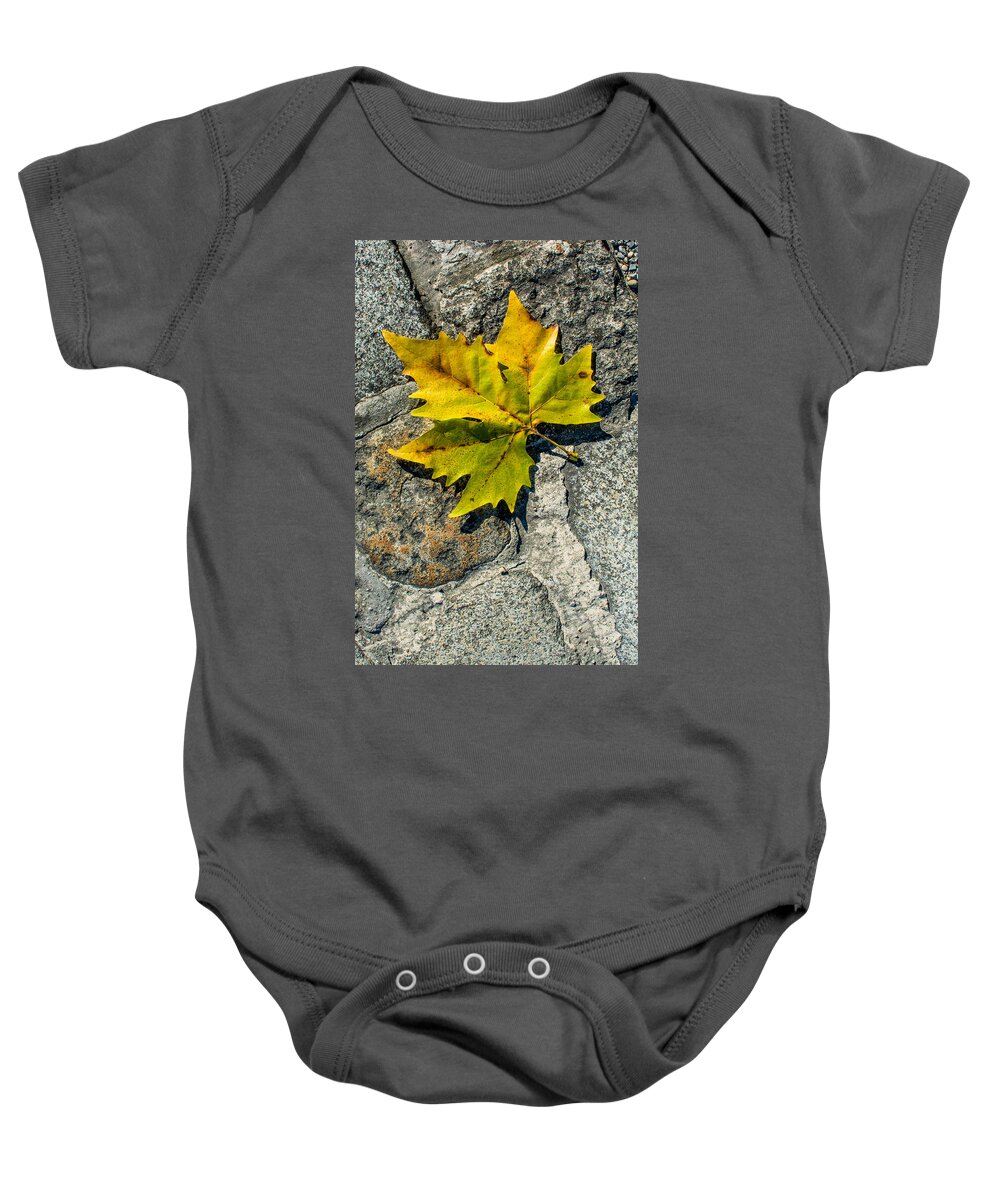 Leaf Baby Onesie featuring the photograph Plane Leaf On Cobblestones by Andreas Berthold