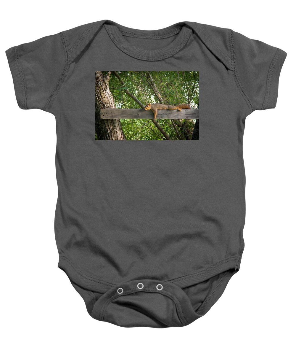Bill Pevlor Baby Onesie featuring the photograph Planking by Bill Pevlor