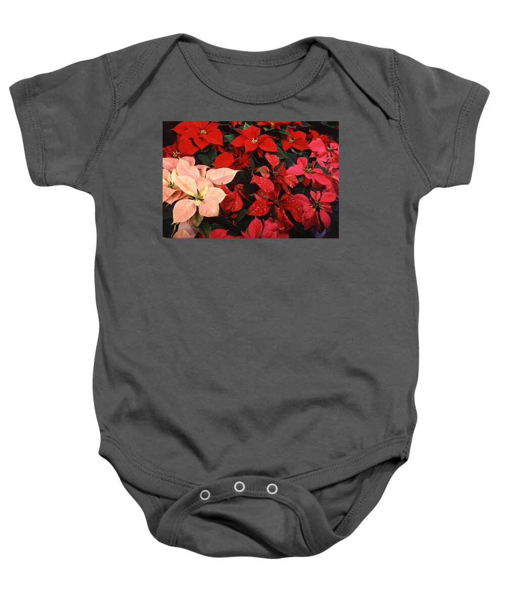 Christmas Baby Onesie featuring the photograph Poinsettia Christmas Holiday Flowers by Taiche Acrylic Art