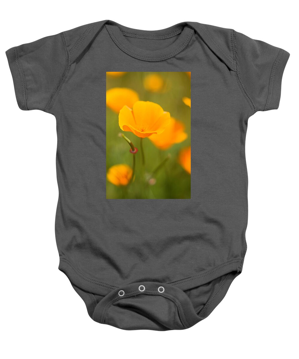 Floral Baby Onesie featuring the photograph Poppy II by Ronda Kimbrow