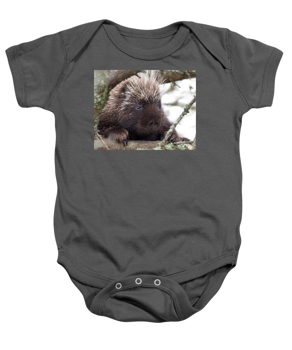 Porcupine Baby Onesie featuring the photograph Porky by Sue Cullumber