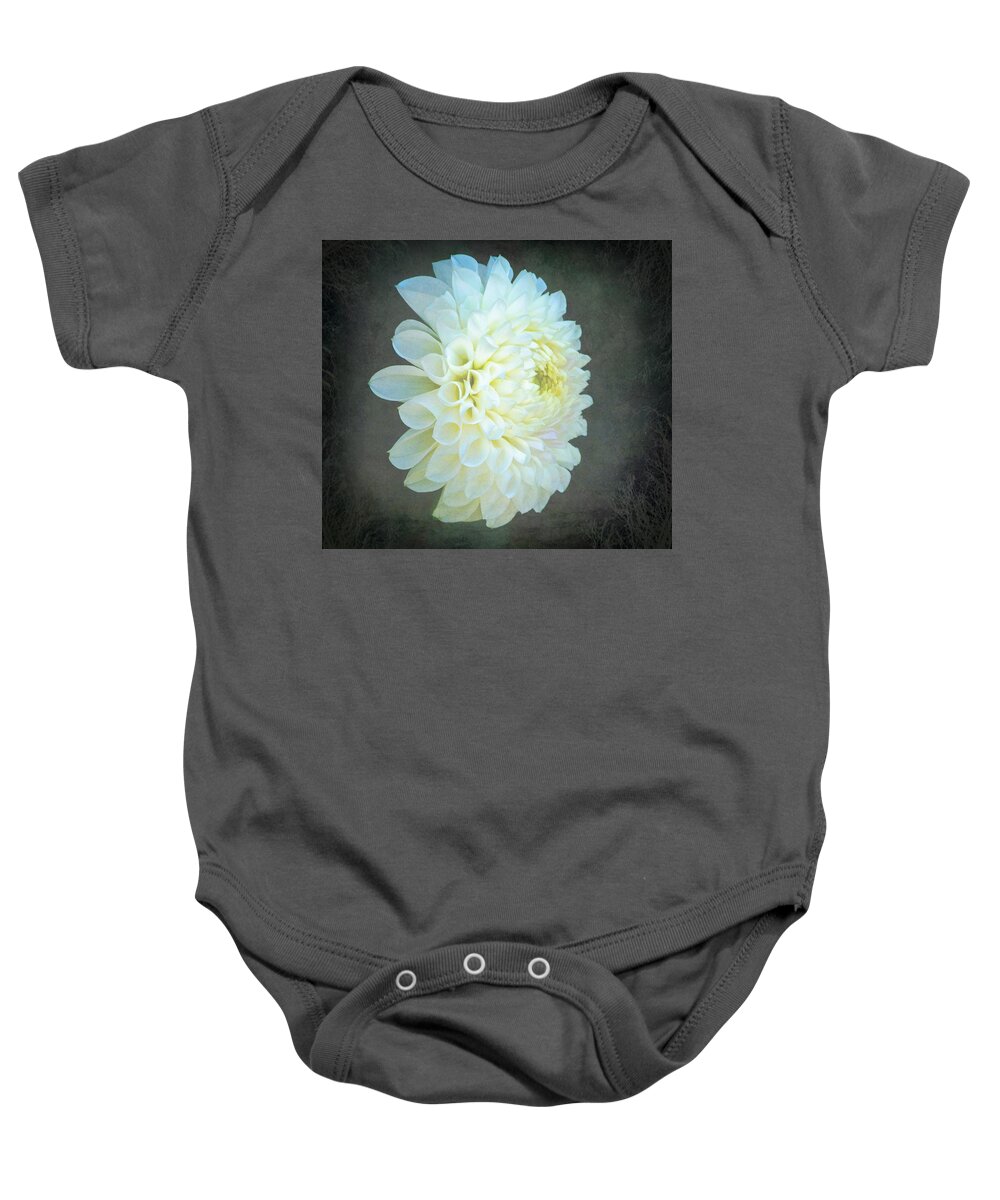 Portrait Of A Dahlia Baby Onesie featuring the photograph Portrait Of A Dahlia by Jordan Blackstone