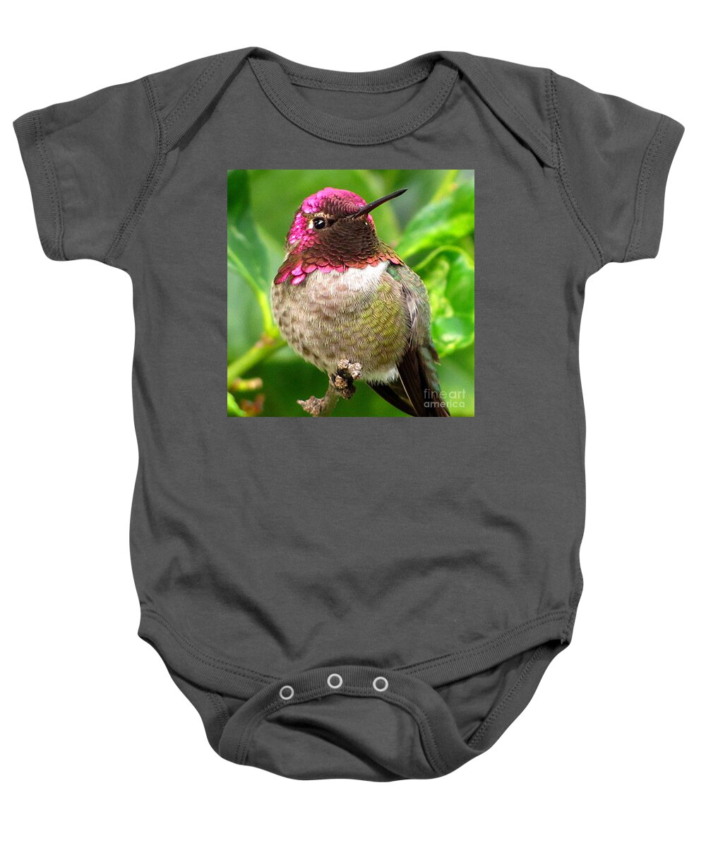 Anna's Hummingbird Baby Onesie featuring the photograph Posing For You by Marilyn Smith