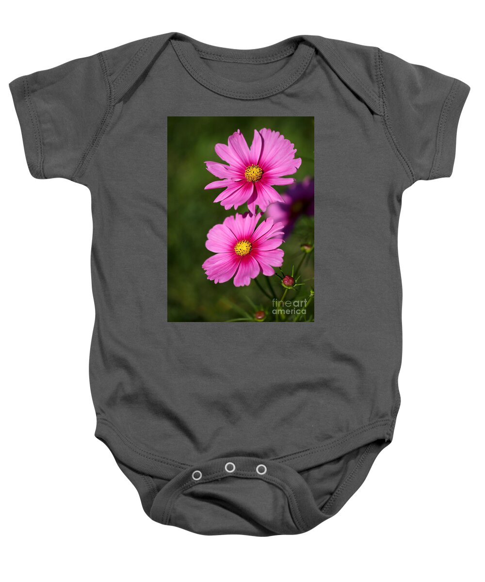 Landscape Baby Onesie featuring the photograph Pretty Pink Cosmos Twins by Sabrina L Ryan