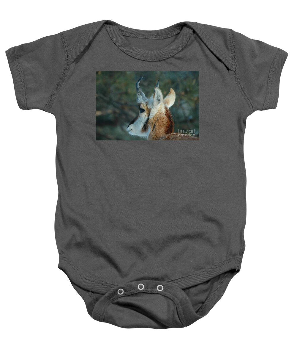 Pronghorn Baby Onesie featuring the photograph Pronghorn Profile by Joan Wallner