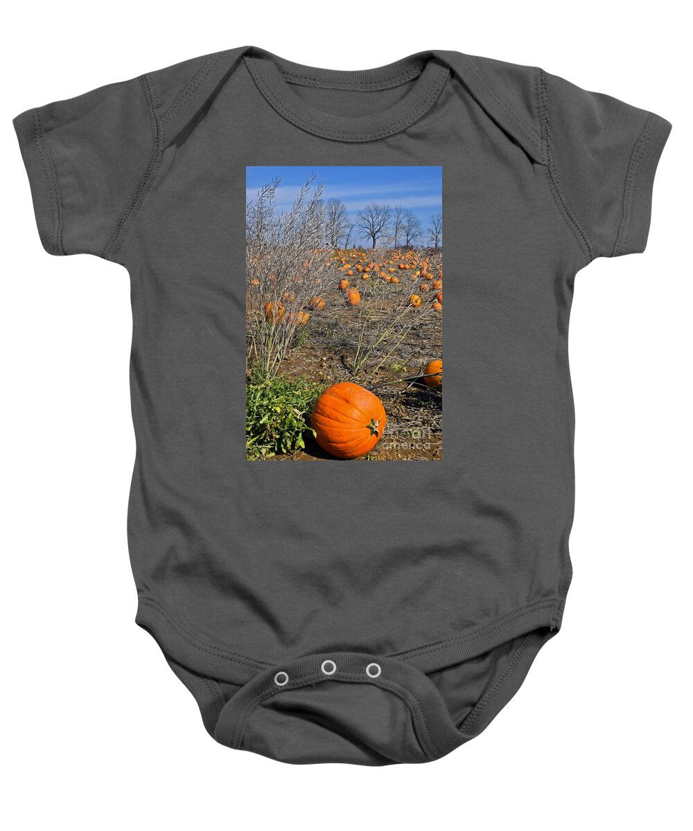 Field Baby Onesie featuring the photograph Pumpkin field by PatriZio M Busnel