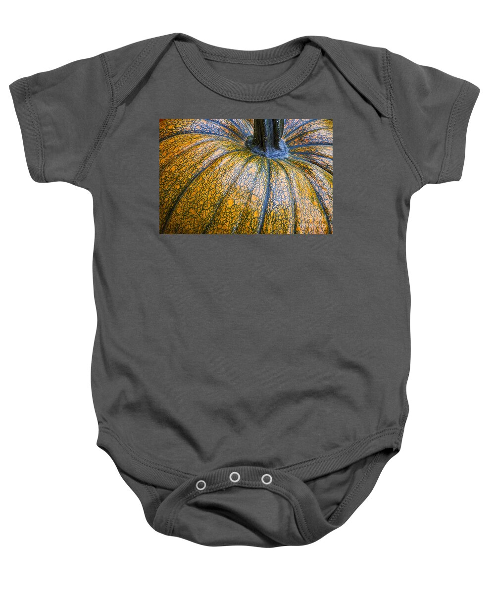 Pumpkin Baby Onesie featuring the photograph Pumpkin Pumpkin by James BO Insogna