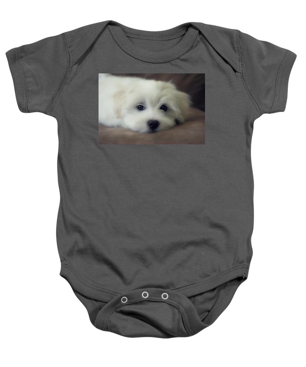 Dog Baby Onesie featuring the photograph Puppy Eyes by Melanie Lankford Photography