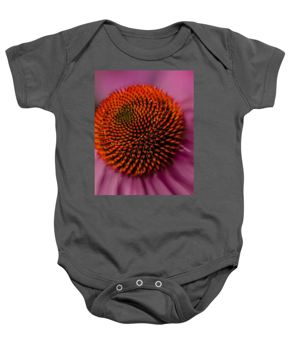 Close-up Baby Onesie featuring the photograph Purple Coneflower by David Smith