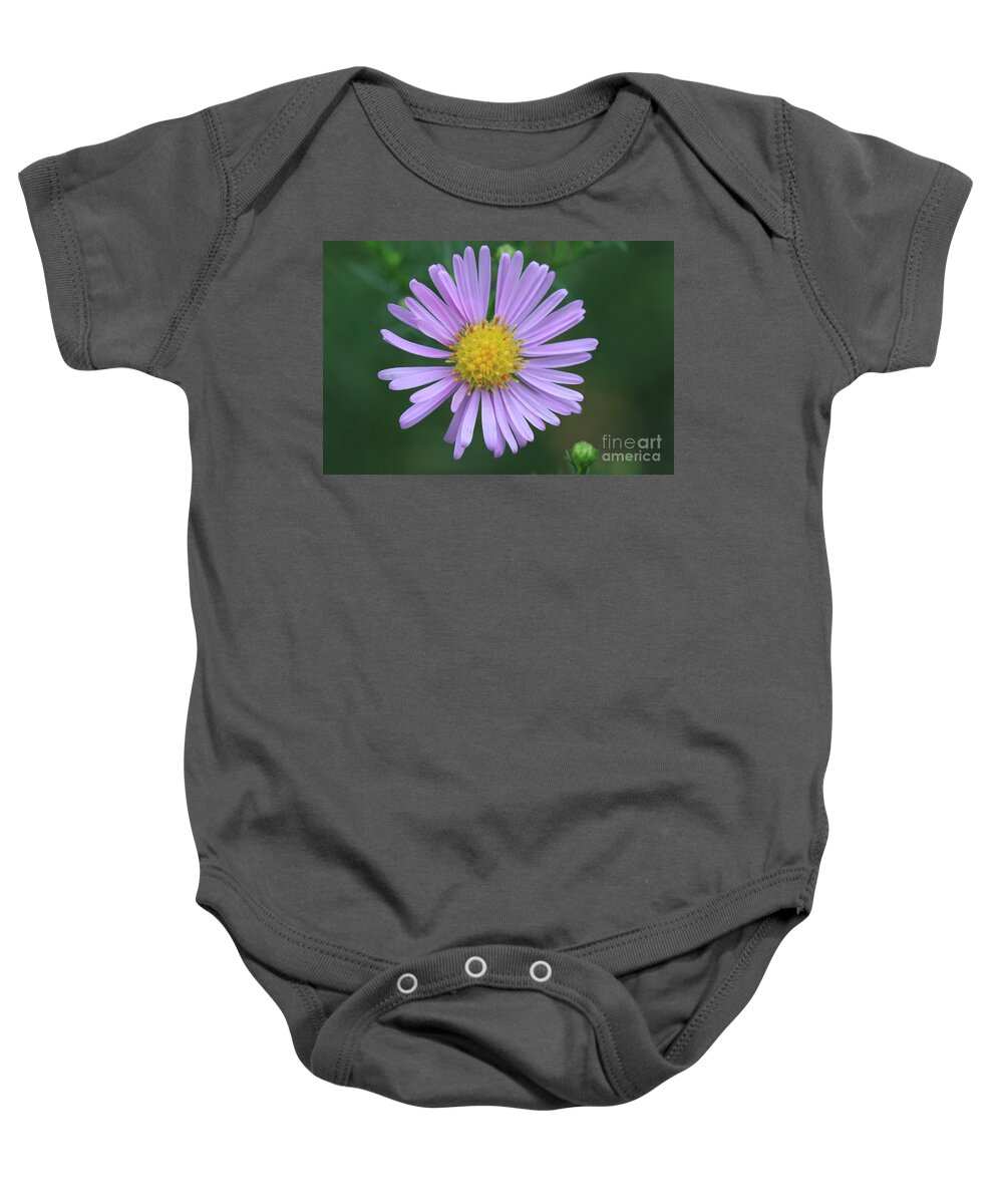 Blossom Baby Onesie featuring the photograph Purple Flower by Amanda Mohler