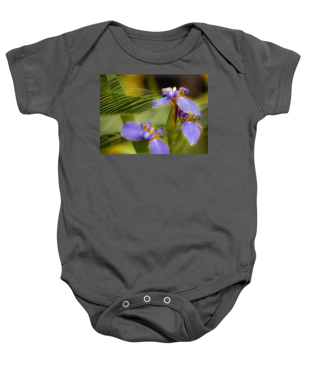 Flower Baby Onesie featuring the photograph Purple Iris No. 1 by Stephen Anderson