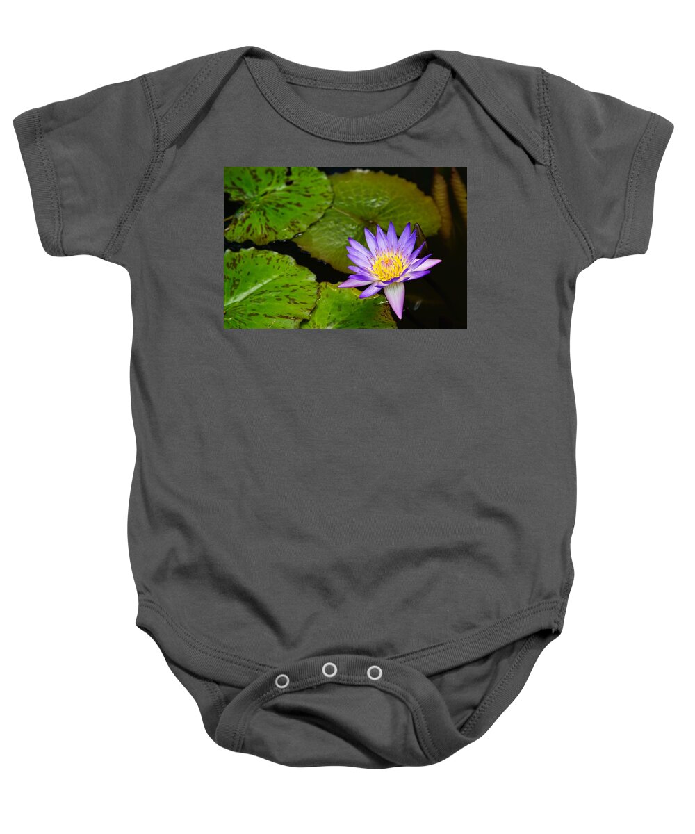  Water Lily Baby Onesie featuring the photograph Purple Lily by Dave Files
