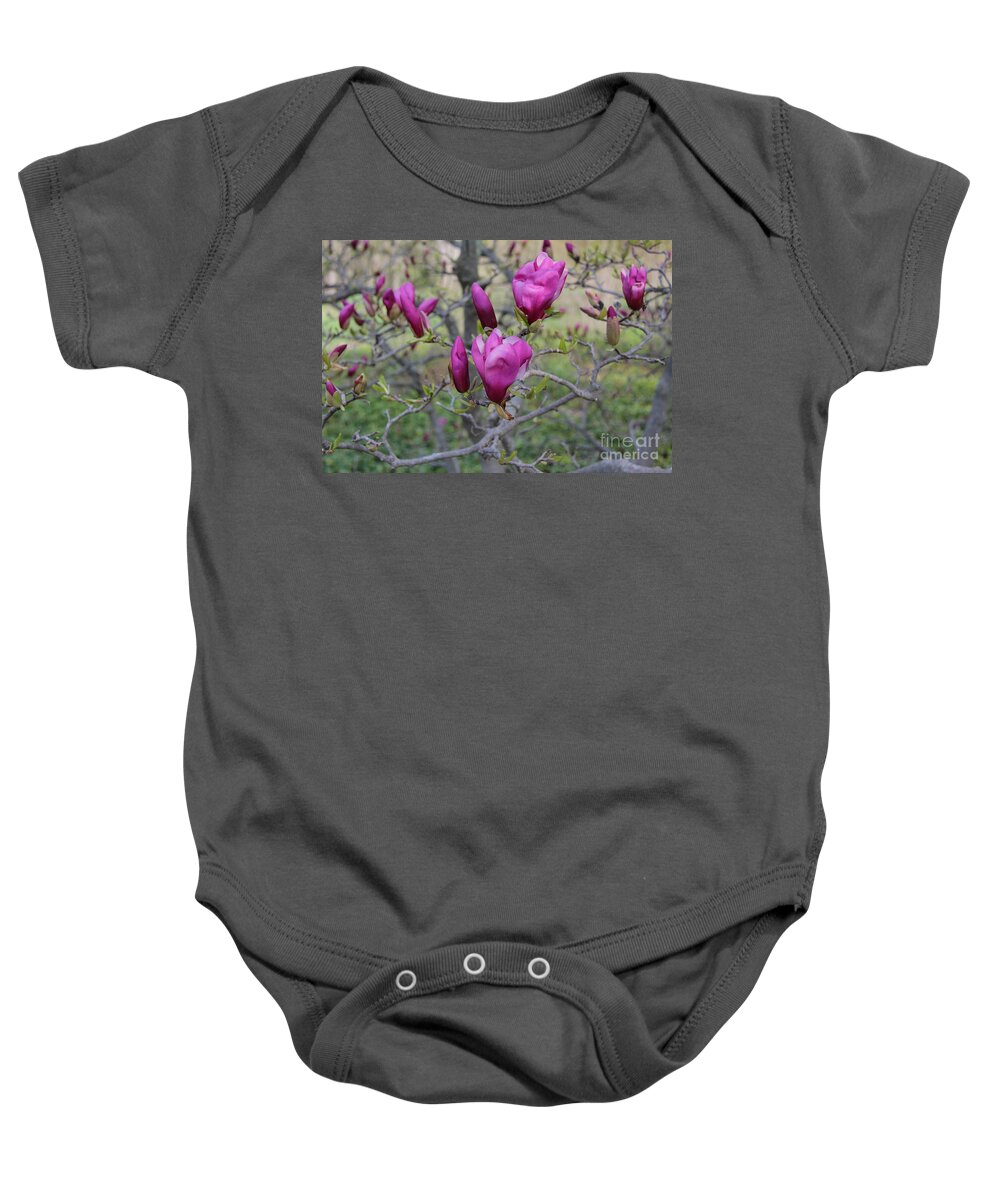 Magnolia Baby Onesie featuring the photograph Purple Magnolia Flowers by Anne Nordhaus-Bike