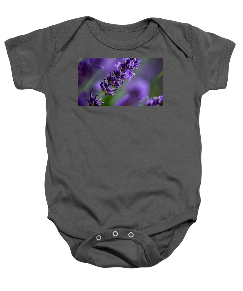 Blumen Baby Onesie featuring the photograph Purple Nature - Lavender Lavandula by Eva-Maria Di Bella