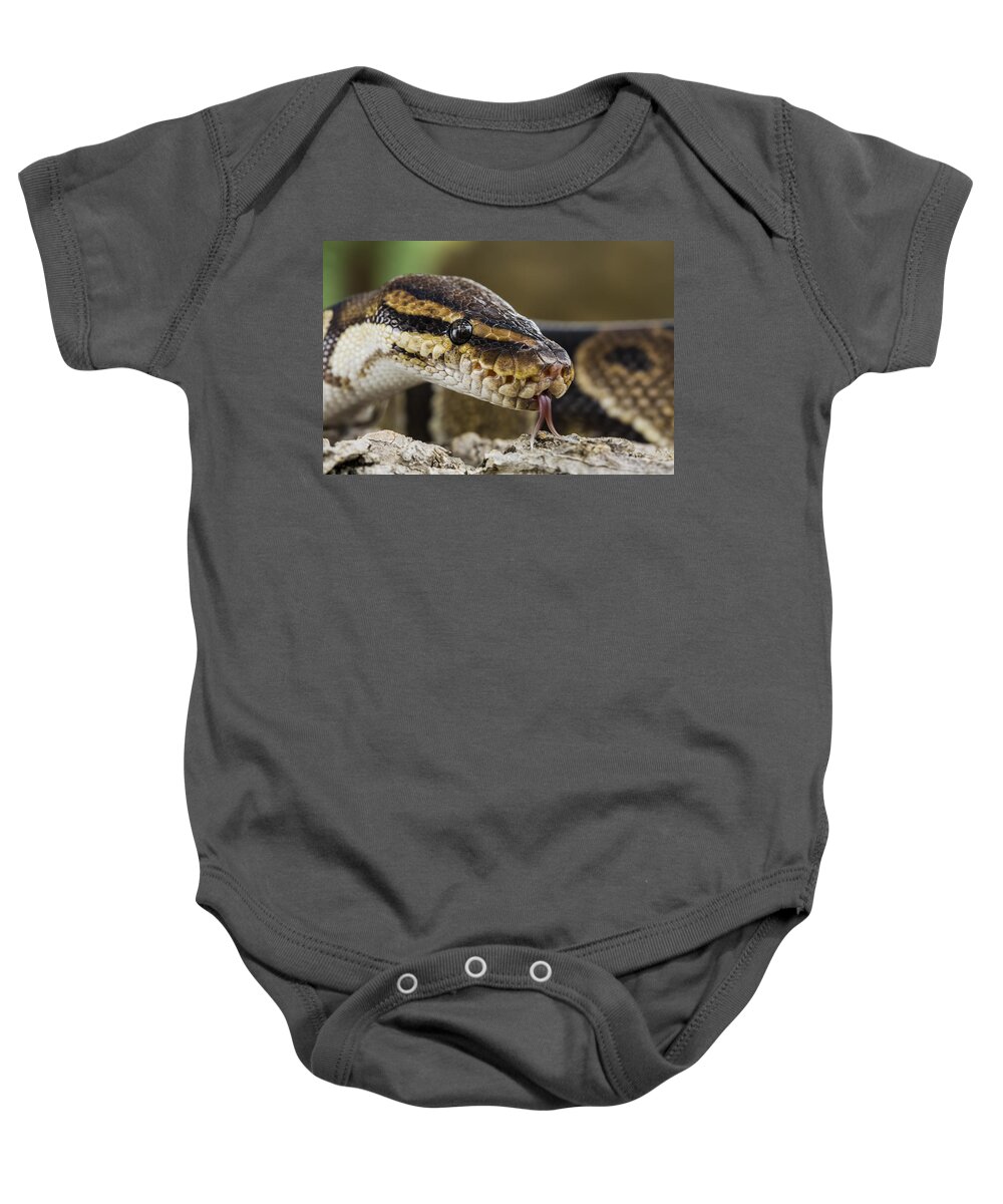 Animal Baby Onesie featuring the photograph Python Head by Mike RaaBurmese Pythonbe