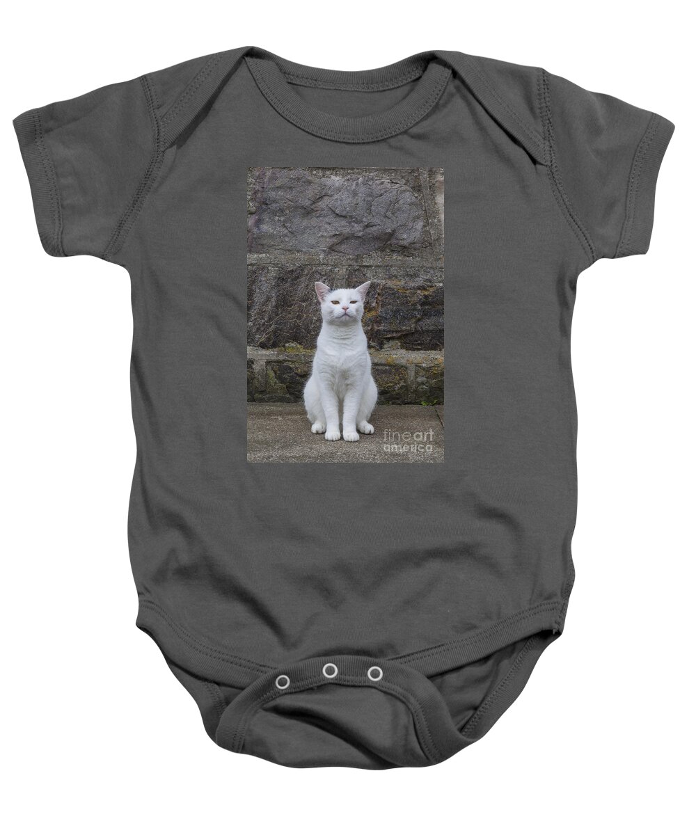 Domestic Baby Onesie featuring the photograph Queen of the Castle by Diane Macdonald