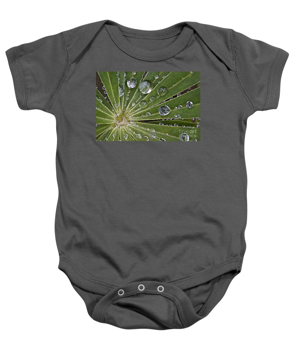 Drop Baby Onesie featuring the photograph Raindrops on Lupin Leaf by Heiko Koehrer-Wagner