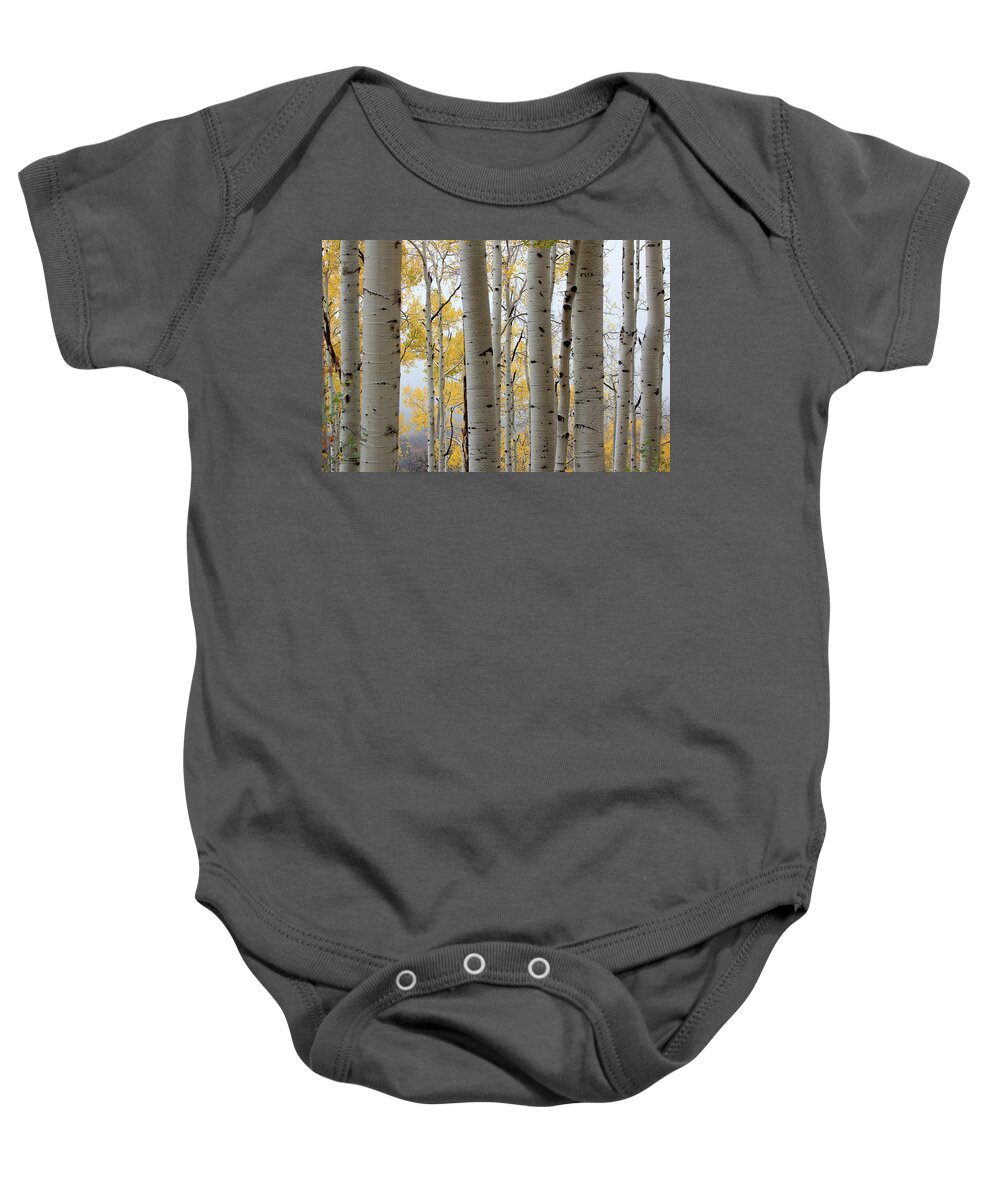 Autumn Colors Baby Onesie featuring the photograph Rainy Day Aspen by Jim Garrison