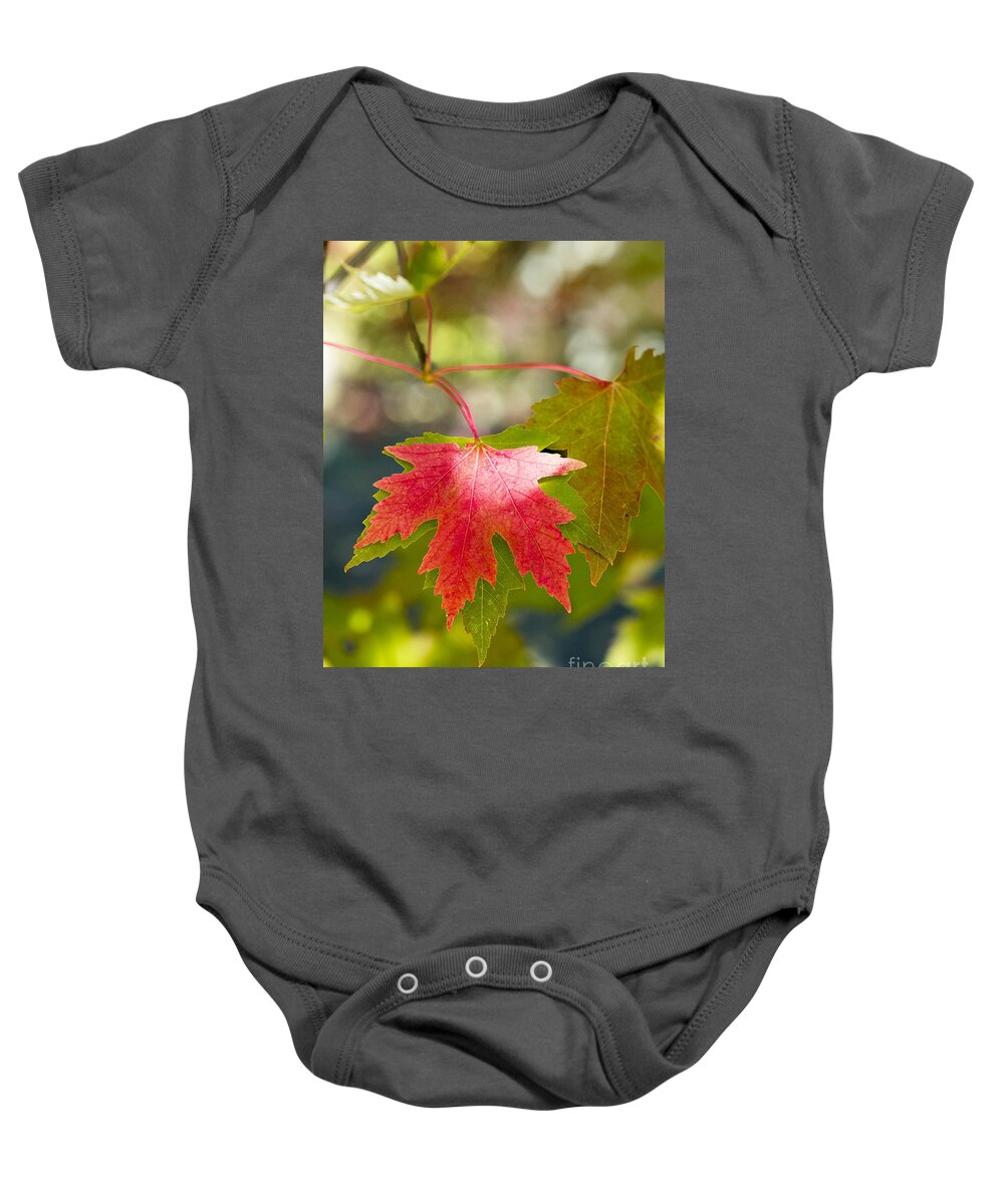 Arboretum Baby Onesie featuring the photograph Red And Green by Steven Ralser