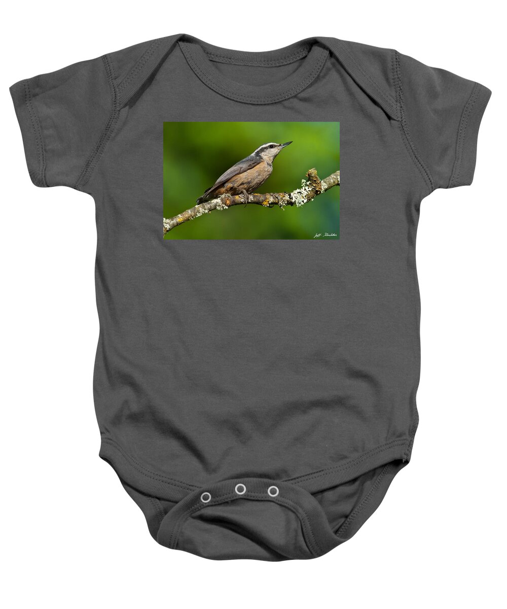 Animal Baby Onesie featuring the photograph Red Breasted Nuthatch in a Tree by Jeff Goulden