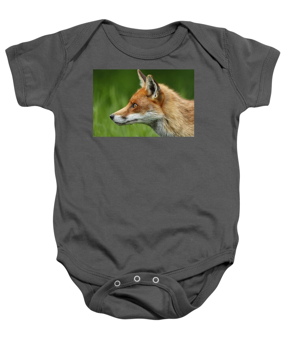 Flpa Baby Onesie featuring the photograph Red Fox In Profile England by Elliott Neep