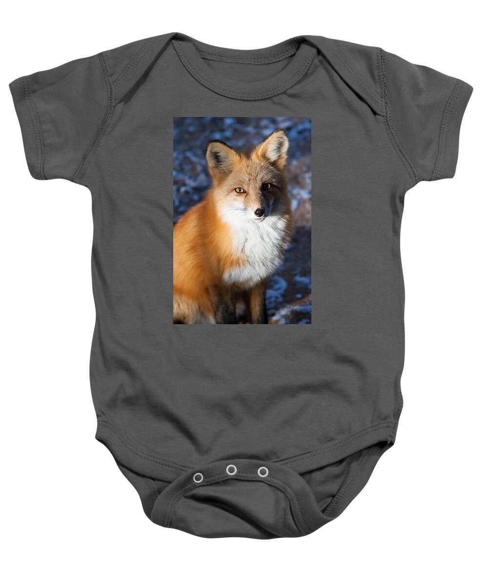 Animal Baby Onesie featuring the photograph Red Fox Standing by John Wadleigh