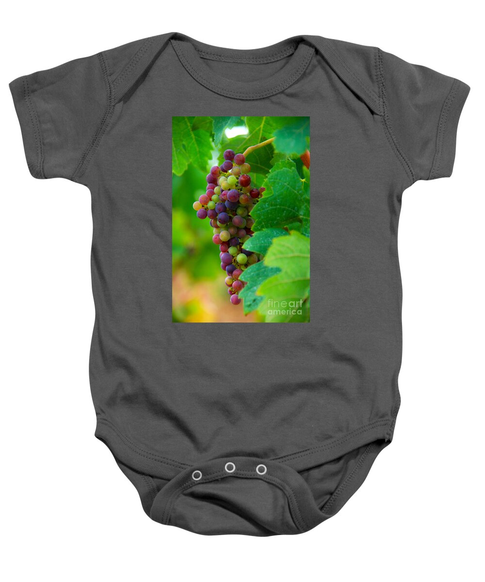 Bordeaux Baby Onesie featuring the photograph Red Grapes by Hannes Cmarits