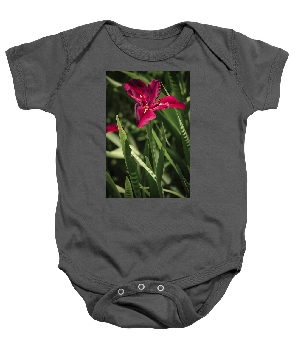 Flowers Baby Onesie featuring the photograph Red Louisiana Iris by Penny Lisowski