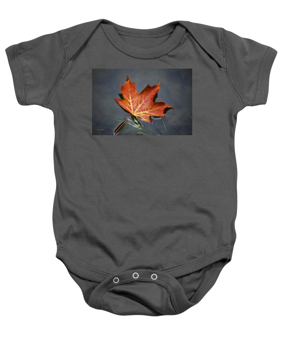 Leaf Baby Onesie featuring the photograph Red Sugar Maple Leaf by Christina Rollo
