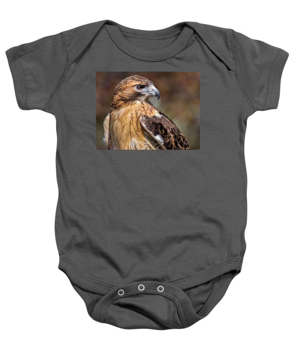Red Tailed Hawk Baby Onesie featuring the photograph Red Tail Hawk by Dale Kincaid