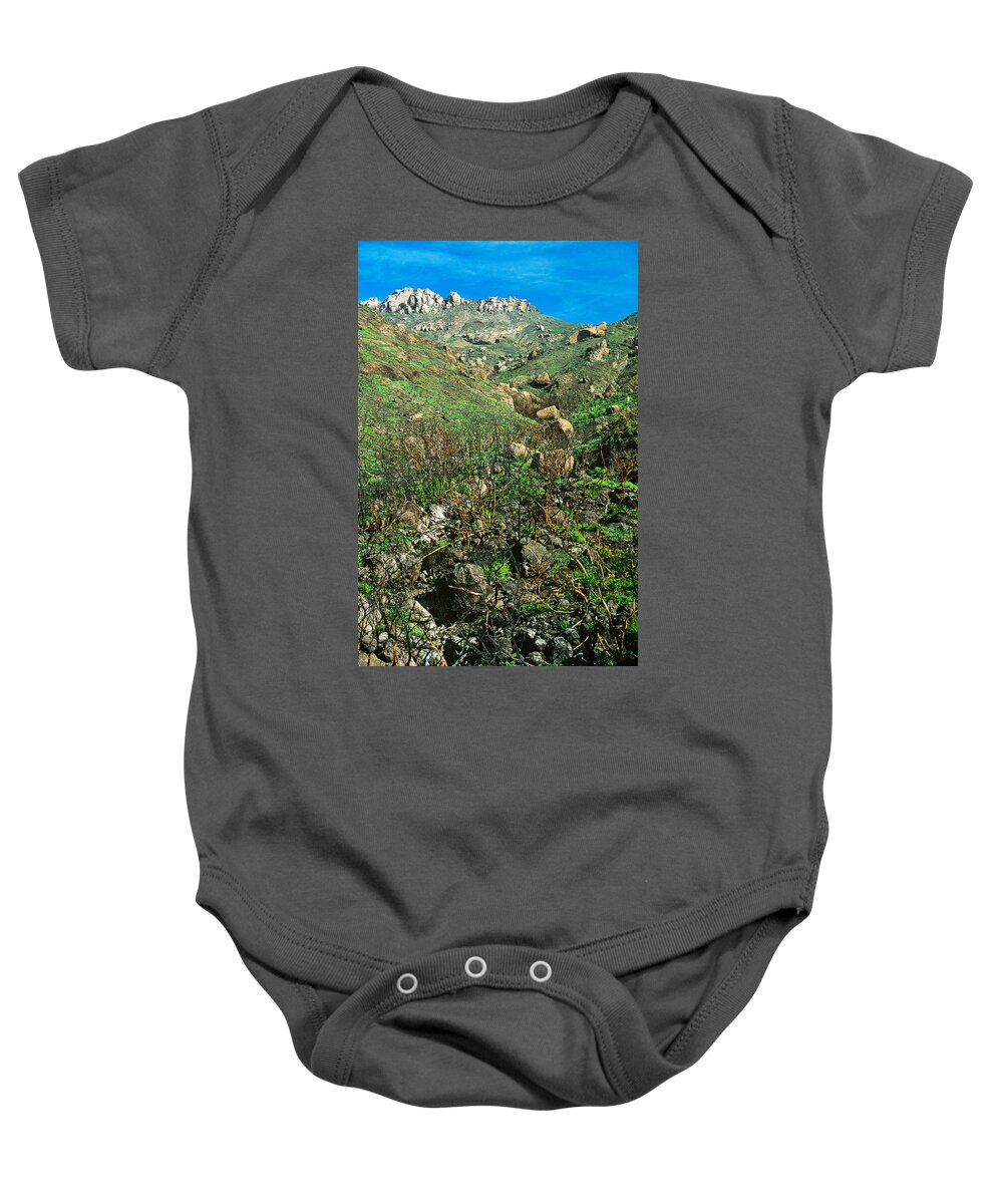 Adaptation Baby Onesie featuring the photograph Regrowth After Fire by Richard Hansen