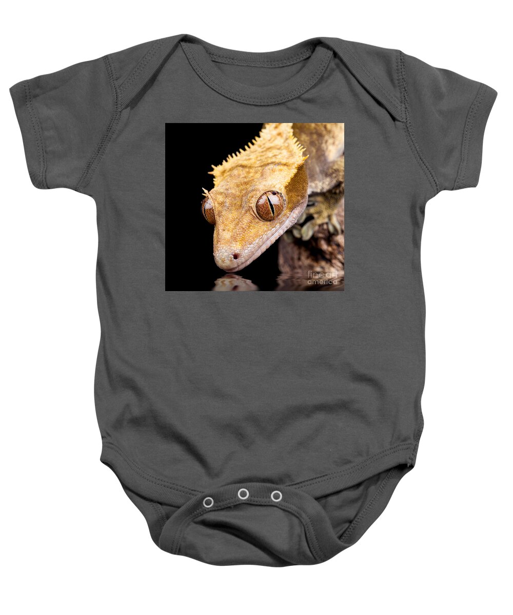 Abstract Baby Onesie featuring the photograph Reptile near water close up by Simon Bratt