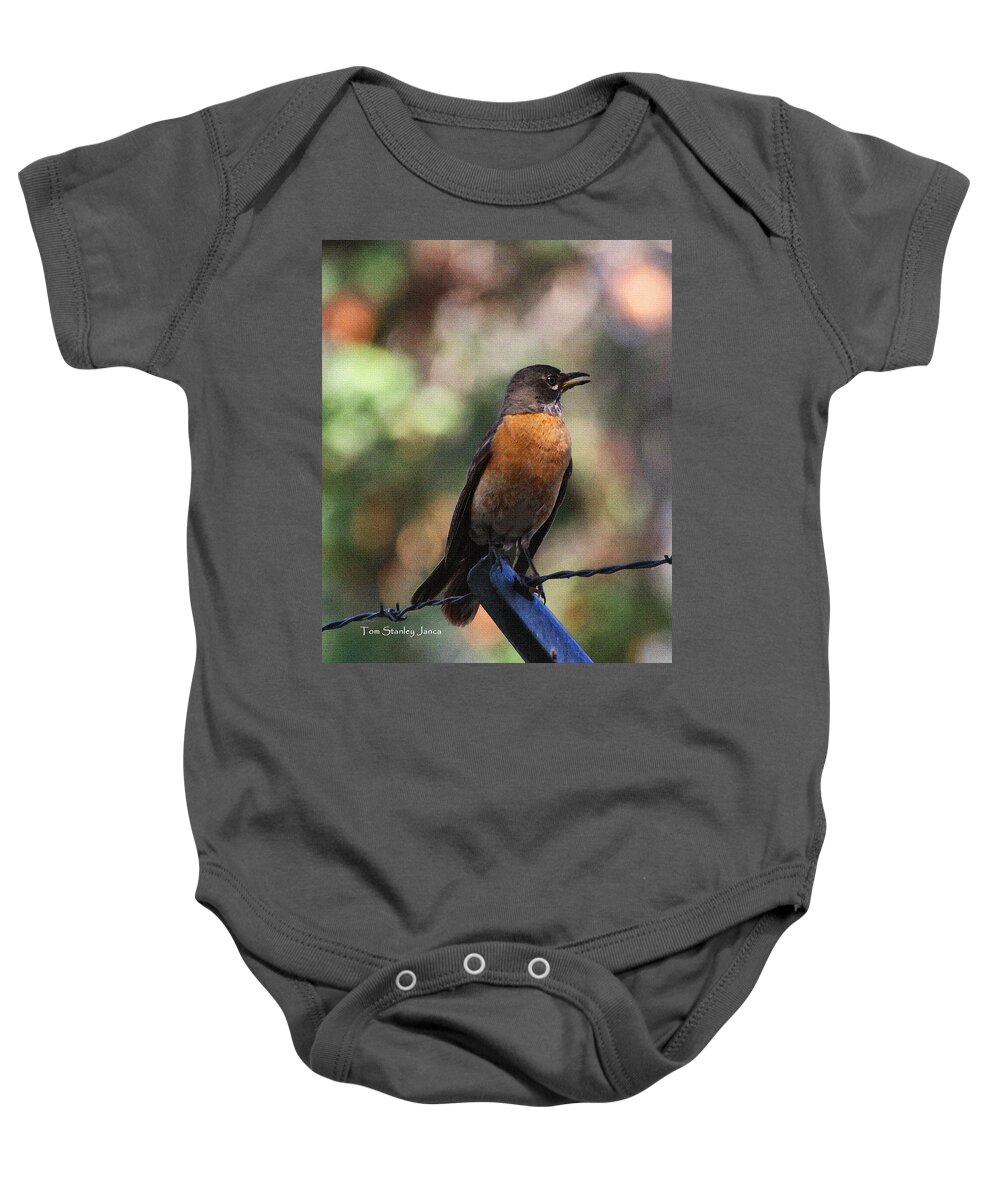 Robin Red Brest On The Fence Baby Onesie featuring the photograph Robin Red Brest On The Fence by Tom Janca
