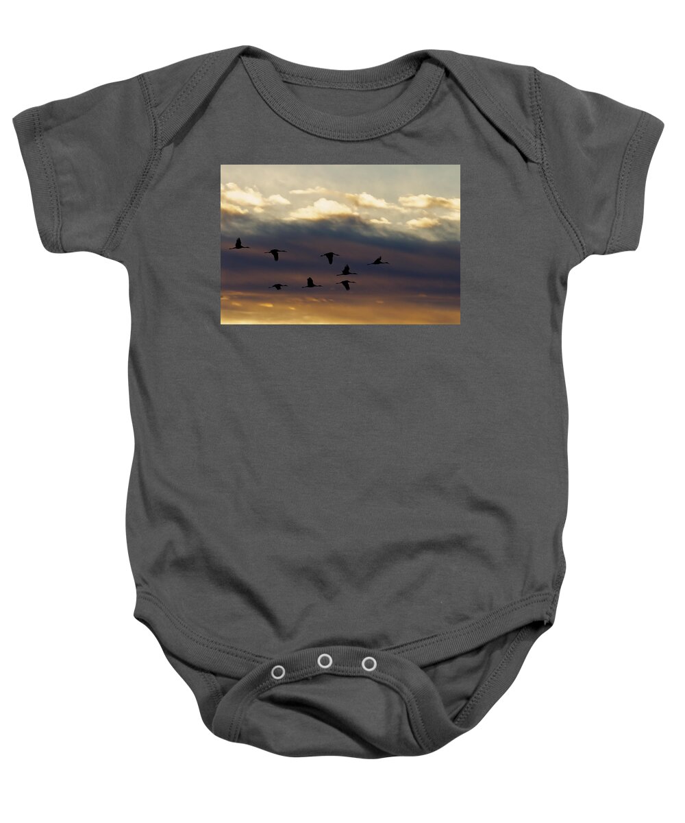 Animals Baby Onesie featuring the photograph Roosting Time by Jack R Perry